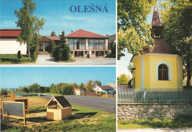 Olešná